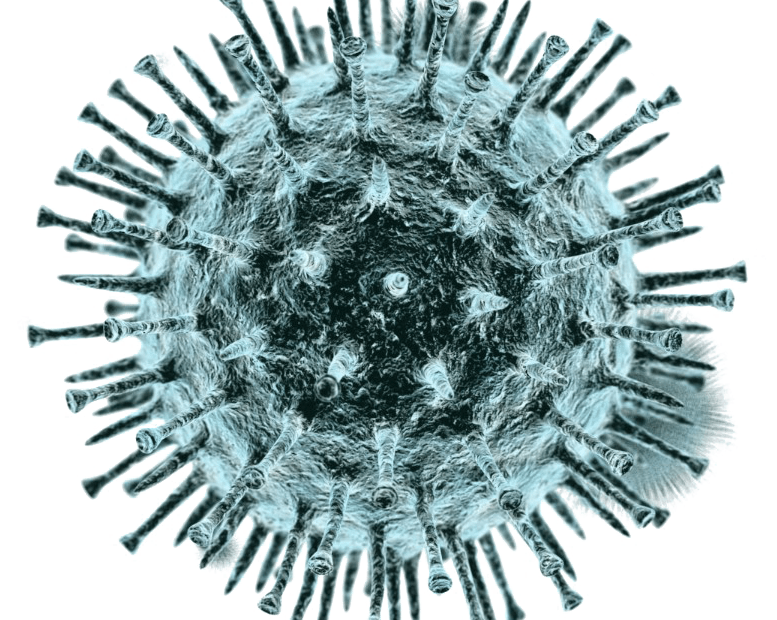 Coronavirus